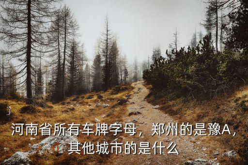 濟源的車牌怎么換成鄭州的,鄭州的是豫A