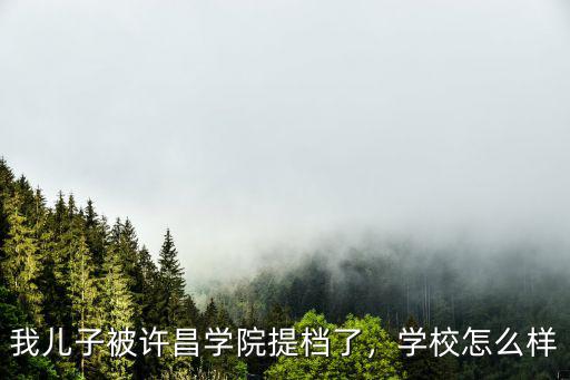 我兒子被許昌學院提檔了，學校怎么樣