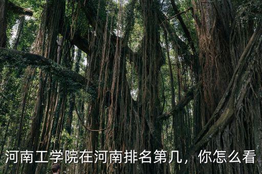 河南工學院在河南排名第幾，你怎么看