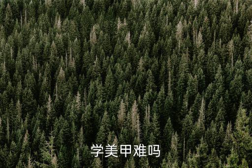 學美甲難嗎