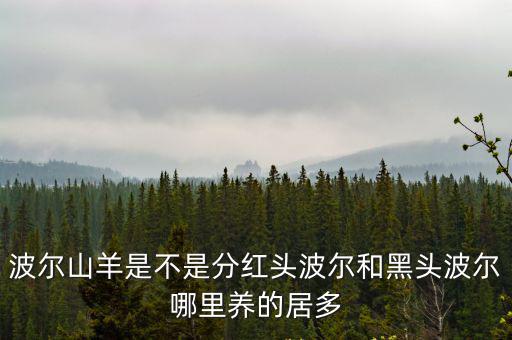 波爾山羊是不是分紅頭波爾和黑頭波爾哪里養的居多