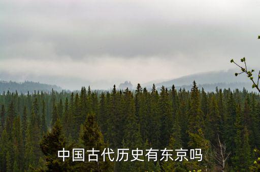 中國古代歷史有東京嗎