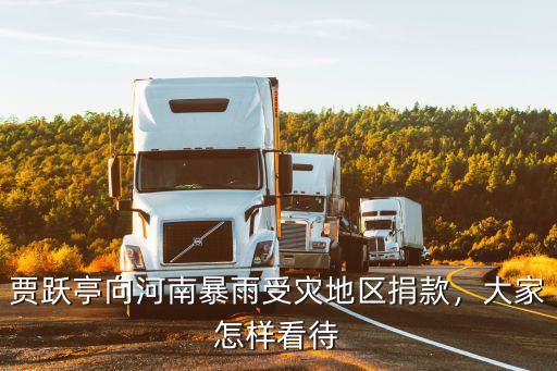 賈躍亭向河南暴雨受災(zāi)地區(qū)捐款，大家怎樣看待