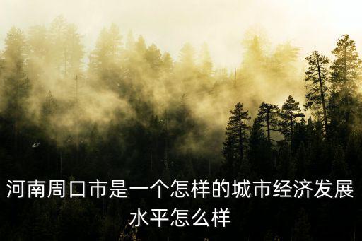 河南周口市是一個怎樣的城市經濟發展水平怎么樣
