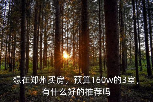 想在鄭州買房，預算160w的3室，有什么好的推薦嗎
