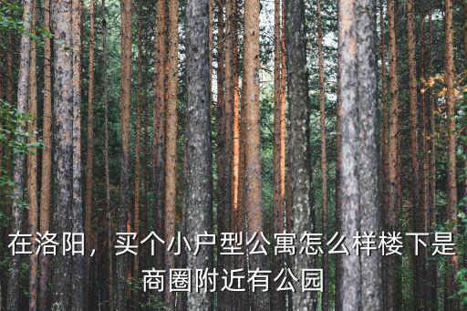 在洛陽，買個小戶型公寓怎么樣樓下是商圈附近有公園