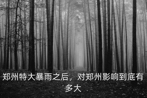 鄭州特大暴雨之后，對鄭州影響到底有多大
