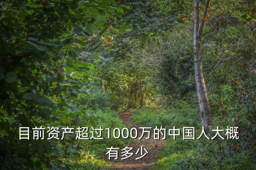 目前資產(chǎn)超過1000萬的中國人大概有多少