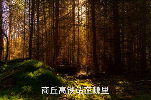 商丘高鐵站在哪里