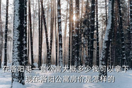 在洛陽買一套公寓大概多少錢可以拿下，現在洛陽公寓房價是怎樣的