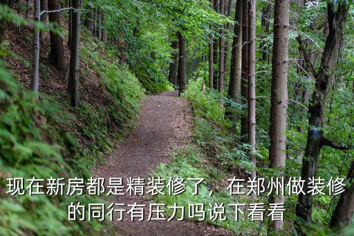 現在新房都是精裝修了，在鄭州做裝修的同行有壓力嗎說下看看