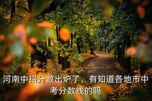 河南中招分數出爐了，有知道各地市中考分數線的嗎