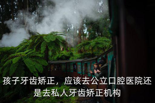 孩子牙齒矯正，應(yīng)該去公立口腔醫(yī)院還是去私人牙齒矯正機(jī)構(gòu)