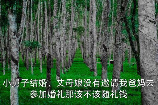 河南湯陰小舅子結(jié)婚送多少錢,有兩個(gè)小舅子要結(jié)婚