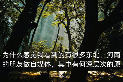 為什么感覺我看到的有很多東北、河南的朋友做自媒體，其中有何深層次的原因