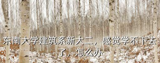 東南大學(xué)建筑系新大二，感覺學(xué)不下去了，怎么辦