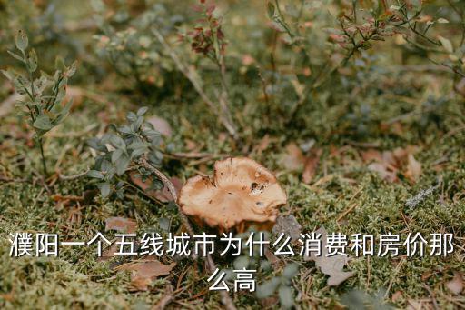 濮陽一個五線城市為什么消費和房價那么高