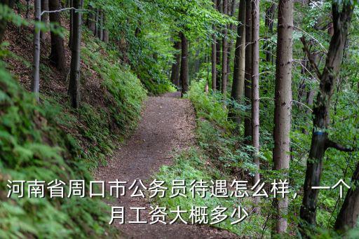 河南省周口市公務(wù)員待遇怎么樣，一個月工資大概多少