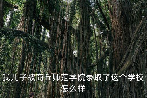 我兒子被商丘師范學院錄取了這個學校怎么樣