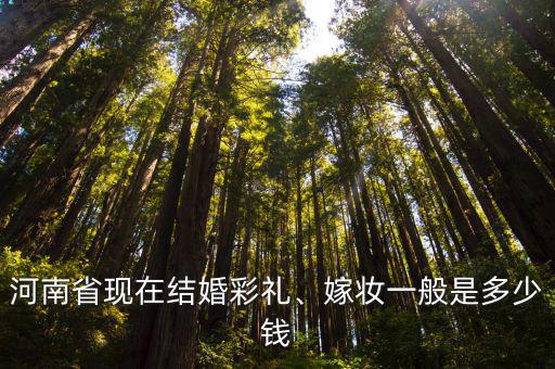 河南羅山縣現在結婚真實彩禮多少,現在河南農村結婚彩禮重