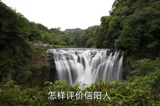 怎樣評價信陽人