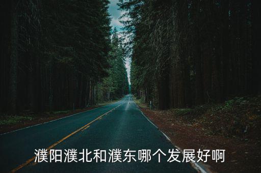 濮陽濮北和濮東哪個發展好啊