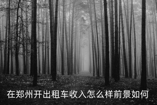 在鄭州開(kāi)出租車收入怎么樣前景如何