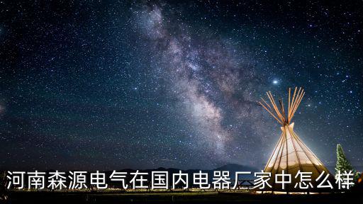 河南森源電氣在國內電器廠家中怎么樣