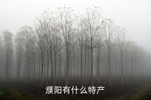 濮陽有什么特產(chǎn)