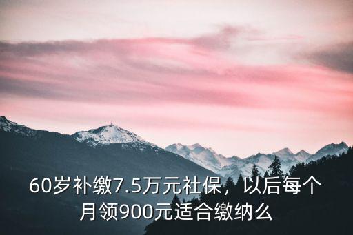 焦作補繳6萬社保一年領多少,60歲補繳7.5萬元社保