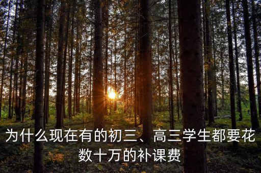 為什么現(xiàn)在有的初三、高三學(xué)生都要花數(shù)十萬(wàn)的補(bǔ)課費(fèi)