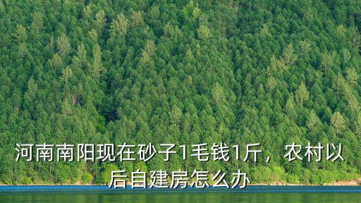 河南南陽現在砂子1毛錢1斤，農村以后自建房怎么辦