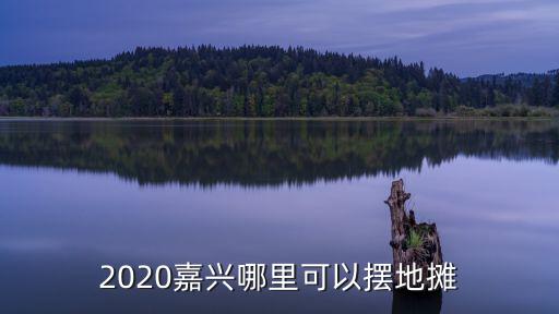 周口沈丘哪里可以擺地?cái)?2020嘉興哪里可以擺地?cái)?/></a></span><span id=