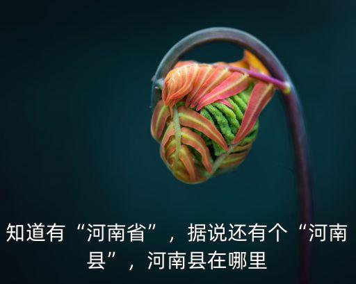 知道有“河南省”，據(jù)說還有個(gè)“河南縣”，河南縣在哪里
