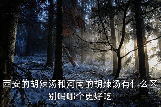 西安的胡辣湯和河南的胡辣湯有什么區(qū)別嗎哪個(gè)更好吃