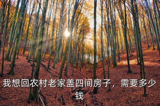 我想回農村老家蓋四間房子，需要多少錢