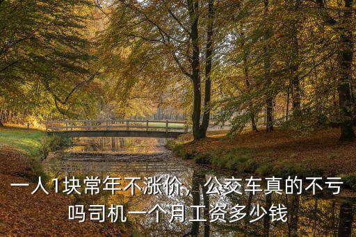 一人1塊常年不漲價(jià)，公交車(chē)真的不虧嗎司機(jī)一個(gè)月工資多少錢(qián)