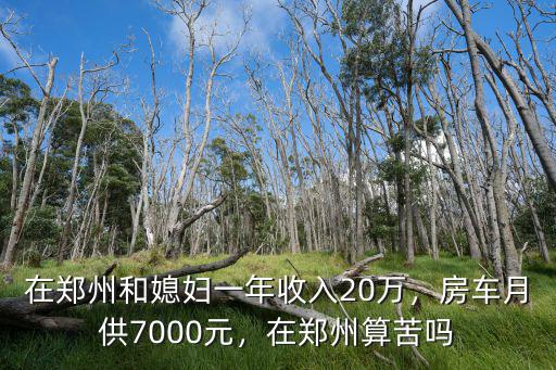 在鄭州和媳婦一年收入20萬，房車月供7000元，在鄭州算苦嗎