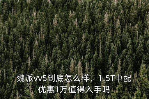 魏派wv5鄭州優(yōu)惠多少,魏派vv5到底怎么樣