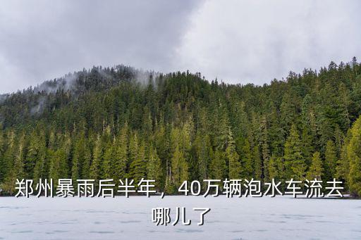 鄭州暴雨后半年，40萬輛泡水車流去哪兒了