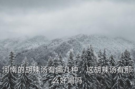 河南的胡辣湯有哪幾種，這胡辣湯有那么好喝嗎