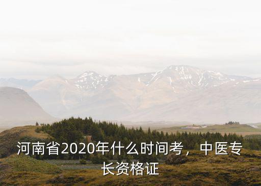 河南省2020年什么時間考，中醫專長資格證