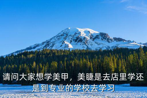 請問大家想學(xué)美甲，美睫是去店里學(xué)還是到專業(yè)的學(xué)校去學(xué)習(xí)