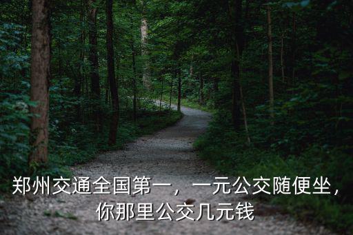 鄭州交通全國第一，一元公交隨便坐，你那里公交幾元錢
