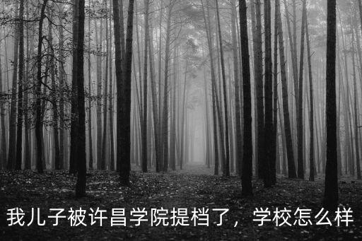 我兒子被許昌學院提檔了，學校怎么樣