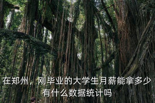在鄭州，剛畢業的大學生月薪能拿多少有什么數據統計嗎