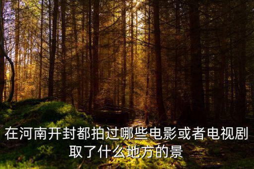 在河南開封都拍過哪些電影或者電視劇取了什么地方的景