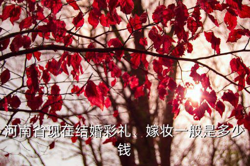 河南省現(xiàn)在結(jié)婚彩禮、嫁妝一般是多少錢