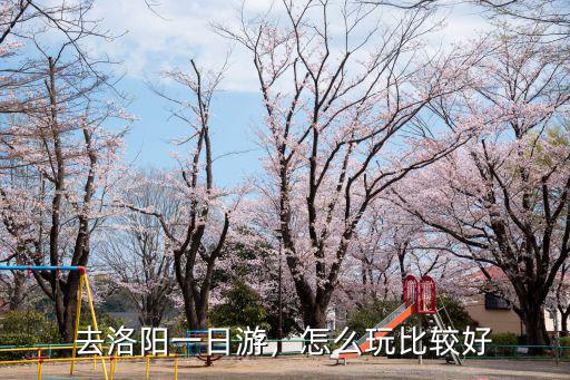 去洛陽一日游，怎么玩比較好