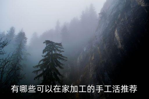 有哪些可以在家加工的手工活推薦